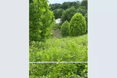 244 Flat Springs Road, Elk Park, NC 28622 - Photo 23