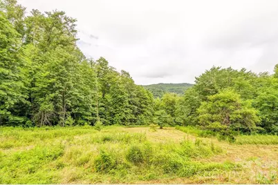 8485 Meadow Fork Road, Hot Springs, NC 28743 - Photo 35