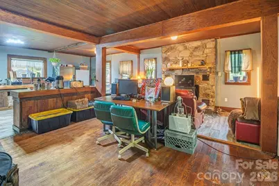 8485 Meadow Fork Road, Hot Springs, NC 28743 - Photo 5