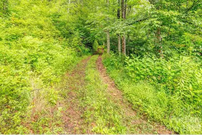 8485 Meadow Fork Road, Hot Springs, NC 28743 - Photo 23