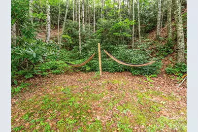 1901 Blue Rock Road, Burnsville, NC 28714 - Photo 33