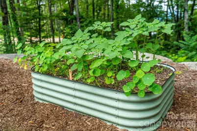 99999 E Garden Trail #46, Fletcher, NC 28732 - Photo 29