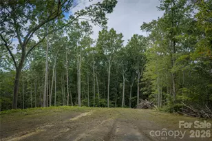 7 Wid Smith Rd, Burnsville, NC 28714 - Photo 25