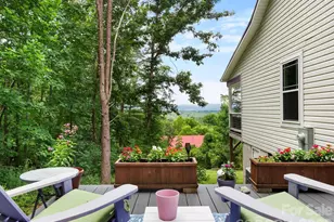 333 Herron Point Ln, Weaverville, NC 28787 - Photo 19