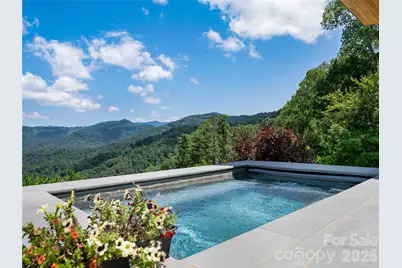 25 Bartrams Walk Drive, Asheville, NC 28804 - Photo 3