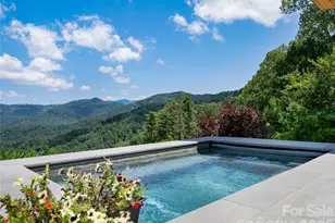 25 Bartrams Walk Dr, Asheville, NC 28804 - Photo 3