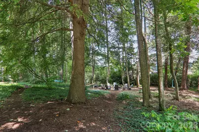 24 Turkey Roost Court, Flat Rock, NC 28739 - Photo 43