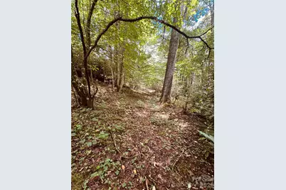 6835 Nc 183 Highway, Newland, NC 28657 - Photo 35