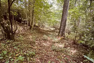 6835 Nc 183 Hwy, Newland, NC 28657 - Photo 35
