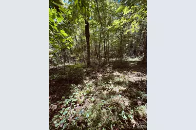 6835 Nc 183 Highway, Newland, NC 28657 - Photo 29