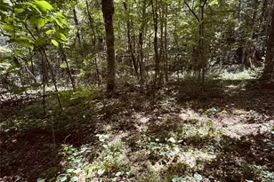 6835 Nc 183 Hwy, Newland, NC 28657 - Photo 29