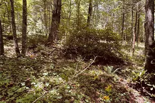 6835 Nc 183 Hwy, Newland, NC 28657 - Photo 33