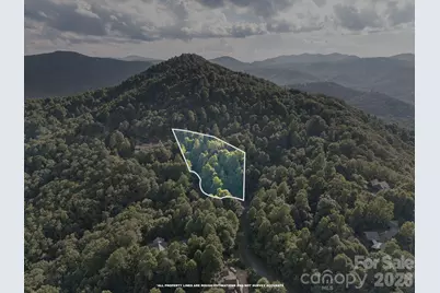 1915 Creston Drive, Black Mountain, NC 28711 - Photo 9