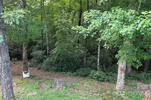 236 Forest Ln, Murphy, NC 28906 - Photo 13