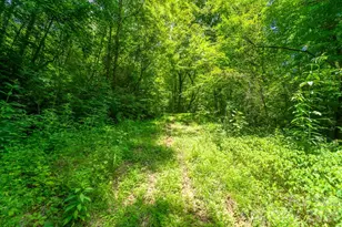 Tbd Indian Flats Dr, Sylva, NC 28779 - Photo 1