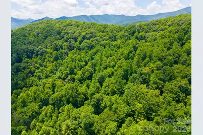 Tbd Indian Flats Drive, Sylva, NC 28779 - Photo 21