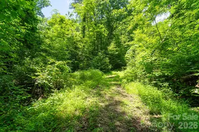 Tbd Indian Flats Drive, Sylva, NC 28779 - Photo 3