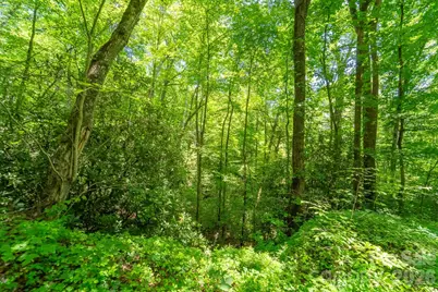 Tbd Indian Flats Drive, Sylva, NC 28779 - Photo 5