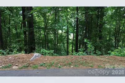 7 White Birch Court, Black Mountain, NC 28711 - Photo 3