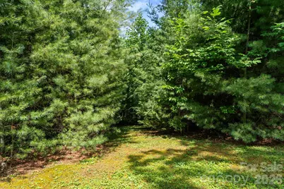 9081 Pittmans Gap Road, Newland, NC 28657 - Photo 41