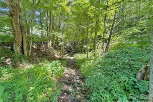 321 Grays Shadow Ln, Banner Elk, NC 28604 - Photo 41