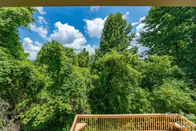 366 Cabin Hollow Drive, Marshall, NC 28753 - Photo 35