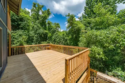 366 Cabin Hollow Drive, Marshall, NC 28753 - Photo 15
