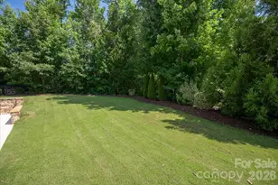 971 Castlewatch Dr, Fort Mill, SC 29708 - Photo 45