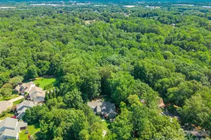 1326 Clifflure Ln, Fort Mill, SC 29708 - Photo 3