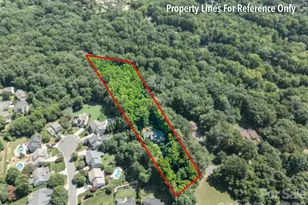 1326 Clifflure Ln, Fort Mill, SC 29708 - Photo 41