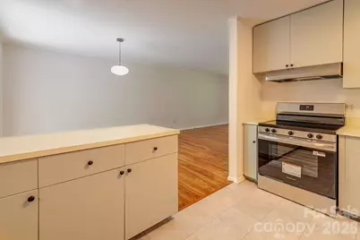 47 Bell Road, Asheville, NC 28805 - Photo 15