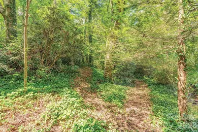 47 Bell Road, Asheville, NC 28805 - Photo 43