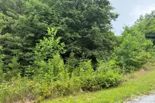 12 Silverstone Dr, Hendersonville, NC 28792 - Photo 1