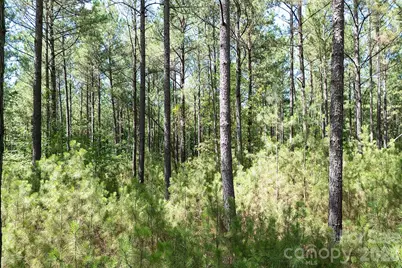 168 Plantation Way, Mount Gilead, NC 27306 - Photo 9