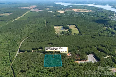 168 Plantation Way, Mount Gilead, NC 27306 - Photo 3