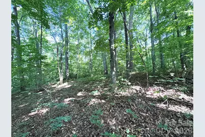 454 Forest Brook Road, Black Mountain, NC 28711 - Photo 7