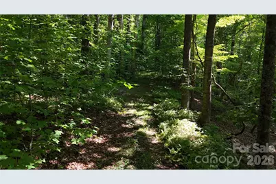 454 Forest Brook Road, Black Mountain, NC 28711 - Photo 15