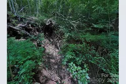 454 Forest Brook Road, Black Mountain, NC 28711 - Photo 21