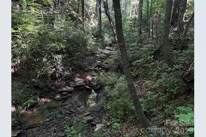 454 Forest Brook Road, Black Mountain, NC 28711 - Photo 19
