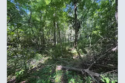 454 Forest Brook Road, Black Mountain, NC 28711 - Photo 17