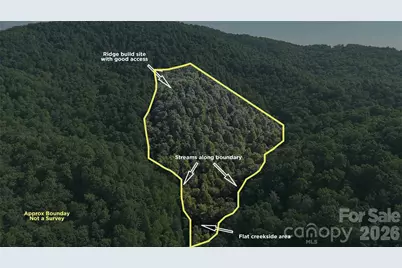 454 Forest Brook Road, Black Mountain, NC 28711 - Photo 1