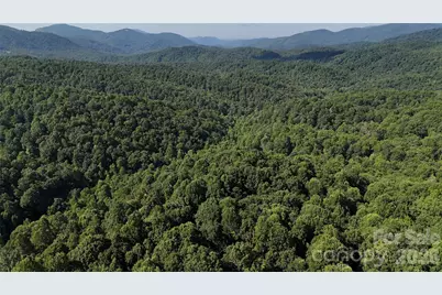 454 Forest Brook Road, Black Mountain, NC 28711 - Photo 11