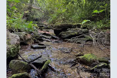 454 Forest Brook Road, Black Mountain, NC 28711 - Photo 5