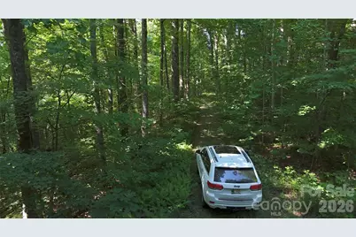 454 Forest Brook Road, Black Mountain, NC 28711 - Photo 3