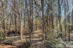 03 Lurecliff Pl, Fort Mill, SC 29708 - Photo 11
