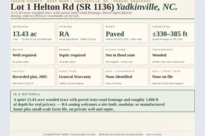 00-00 Helton Road LOT # 1, Yadkinville, NC 27055 - Photo 5