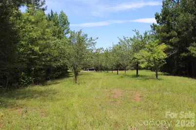 000 John Watson Road, Rutherfordton, NC 28139 - Photo 1