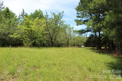 000 John Watson Road, Rutherfordton, NC 28139 - Photo 5
