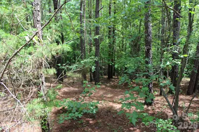 000 John Watson Road, Rutherfordton, NC 28139 - Photo 13