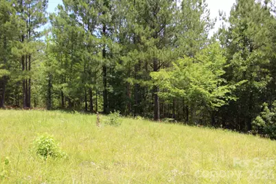 000 John Watson Road, Rutherfordton, NC 28139 - Photo 27